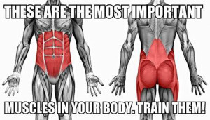 The Most Important Muscle In Your Body