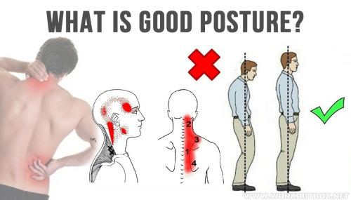 What is Good Posture