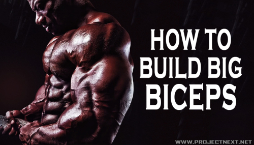 How To Build Big Biceps