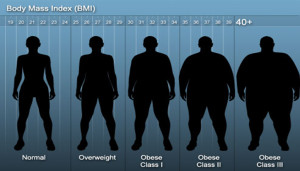 All About Body Mass Index