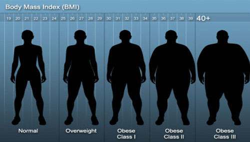 All About Body Mass Index