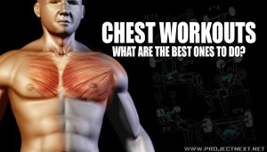 Chest Workouts! What Are the Best Ones to Do?