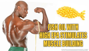 Fish Oil with high EPA stimulates Muscle Building