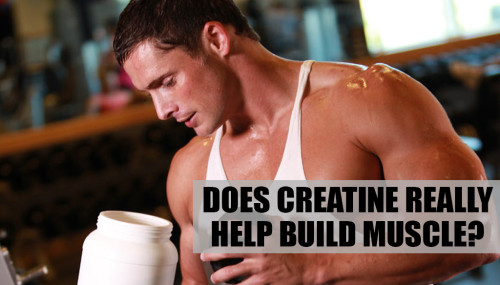 Does Creatine Really Help Build Muscle?