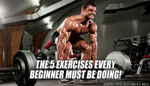 The 5 Exercises Every Beginner Must Be Doing!