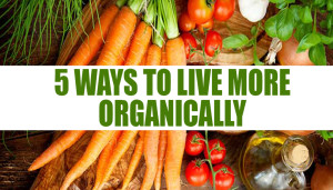 5 Ways to Live More Organically
