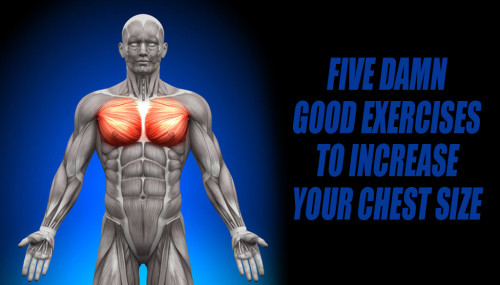 Five Damn Good Exercises to Increase Your Chest Size