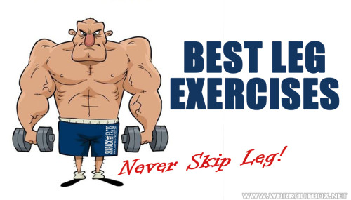 Best Leg Exercises