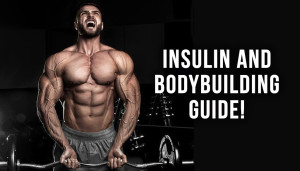 Insulin And Bodybuilding Guide!