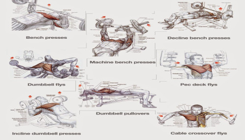 Chest Workouts to Gain Muscle Fast