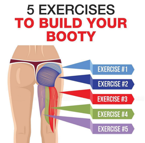 5 Exercises To Build Your Body