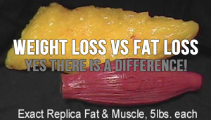 Weight Loss Vs Fat Loss - Yes There is a Difference!