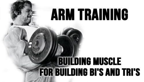 Arm Training - Building Muscle for Building Bi's and Tri's