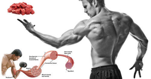 NATURAL BODYBUILDING TIPS & TRICKS