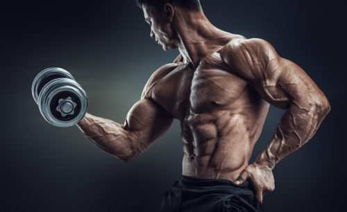 7 Reasons Why You Aren’t Shredded