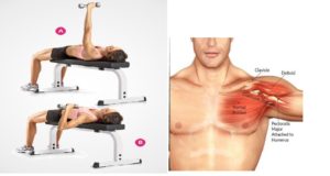 Have You Tried One of The Best Chest Building Exercises ?
