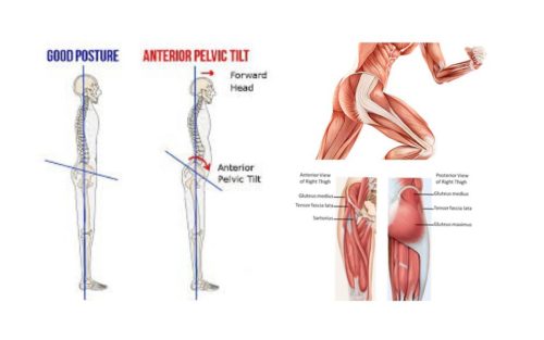 You Don’t Just Want Glutes, You Need Glutes