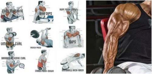 3 Supersets for Bigger & Stronger Arms