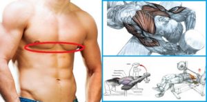 How To Tone Your Lower Chest Using 5 Simple Exercises