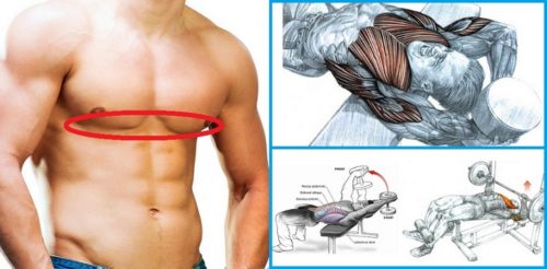 How To Tone Your Lower Chest Using 5 Simple Exercises