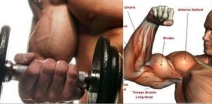 3 Reasons Why Your Biceps Won’t Grow !