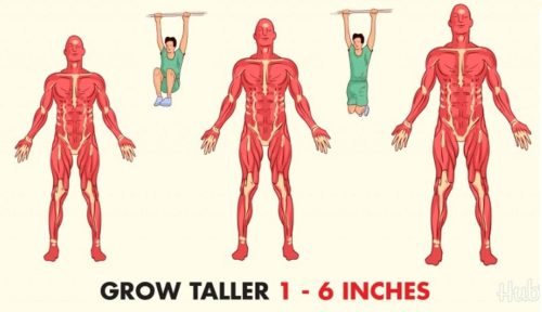 Tips on How to Grow Taller Naturally - Amazing Ways to Increase Your Height Fast