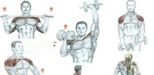 5 Awesome Shoulder Muscle Exercises