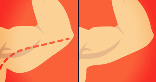 Best Exercises To Lose Arm Fat