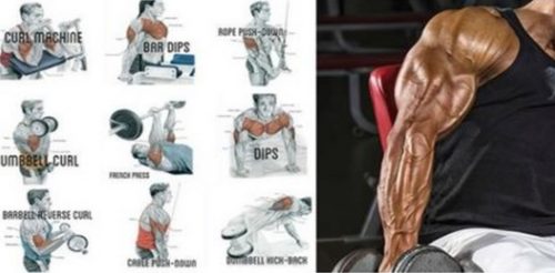 6 Exercises in 2 Supersets For Bigger and Stronger Triceps And Biceps