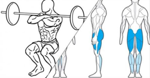 6 Exercises For A Killer Leg Workout