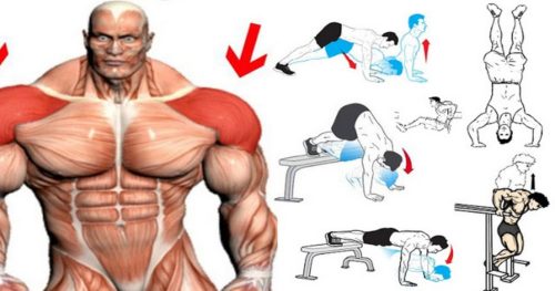 Best Bodyweight Shoulder Exercises You Can Do at Home