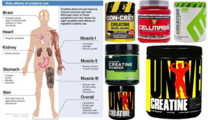 Creatine Supplement – Monohydrate Side Effects, Benefits & More