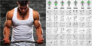 Focused Phase Training Method – 3 Month Program & Plan