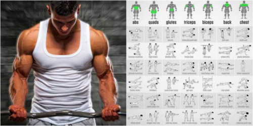 Focused Phase Training Method – 3 Month Program & Plan