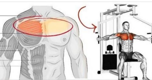 Chest Day Mistakes | 4 Things To Avoid When Training Chest Muscles