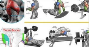 Exercises To Get Perfectly Shaped Triceps