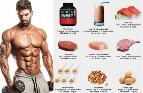 The Top 5 Sources Of Protein