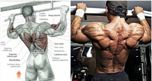 5 Tips to Improve Your Pulling Power