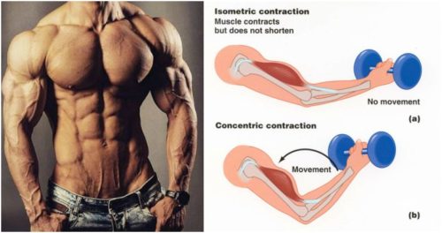 Isometric Contraction Training Method