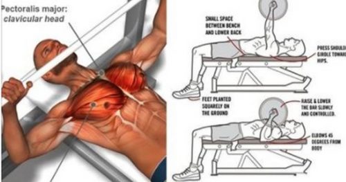 6 Tips To Improve Your Bench Press Instantly