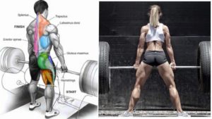 The Top 12 Reasons Why the Deadlift Is One of the Best Exercises Ever