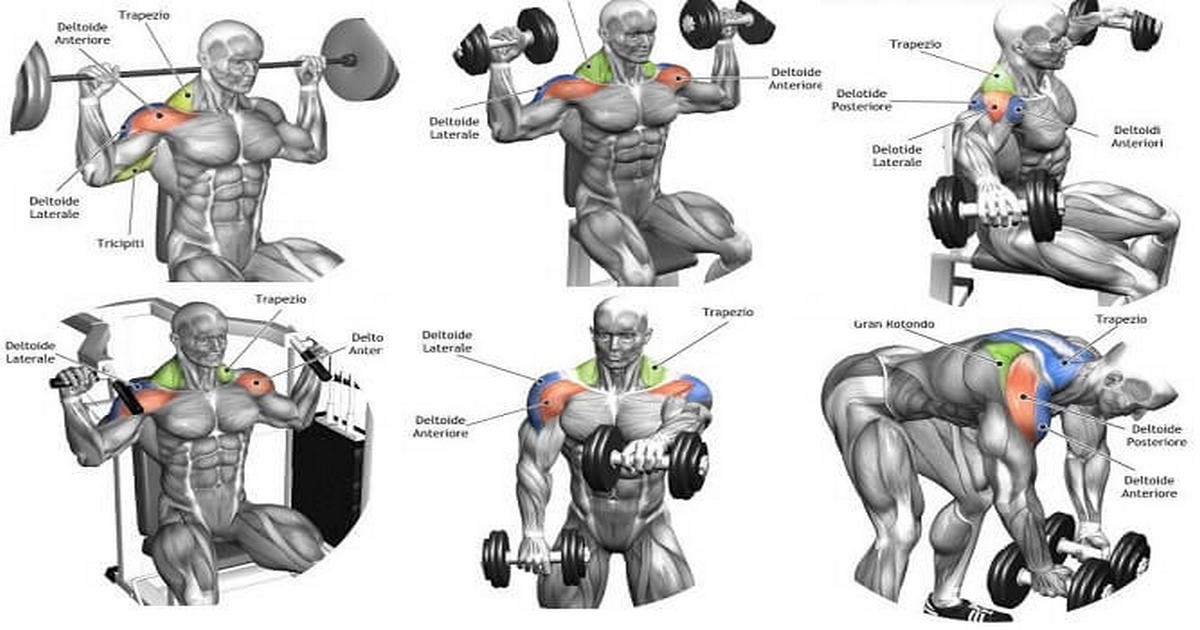 6 Day Front delt workout for Build Muscle