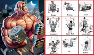 How to Lift Weights to Build Muscle – How Bodybuilders Do It