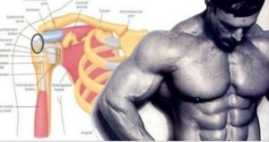 Best 3 Exercises You Need To Do To Develop Monstrous Delts