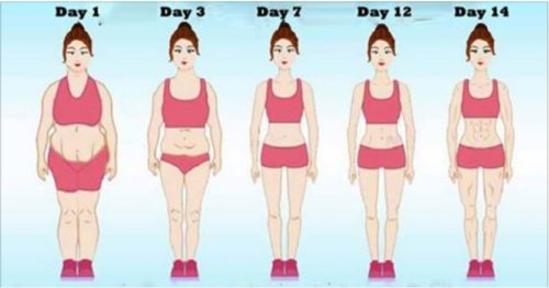 14 Days Challenge…Slim Body, Flat Tummy And Small Waist