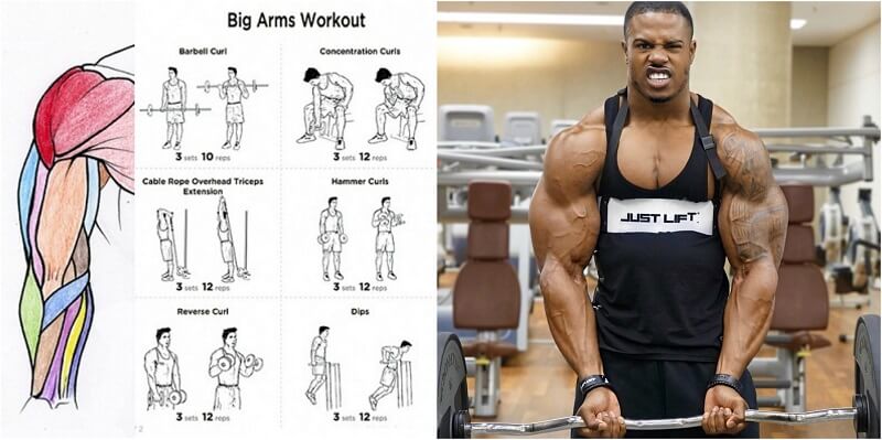 PROJECT NEXT Fitness Bodybuilding Freak PROJECT NEXT Fitness Bodybuilding Freak