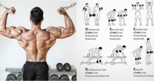 Back And Biceps: The Best Workout Combination