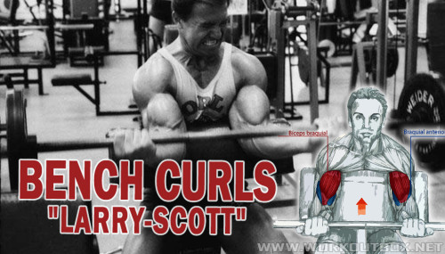 How To Build Bigger Biceps