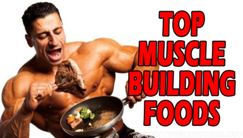 TOP MUSCLE-BUILDING FOODS
