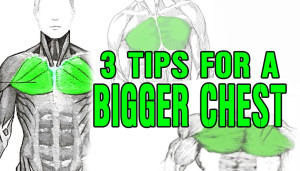 3 Tips For A Bigger Chest